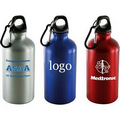 Aluminum Water Bottle w/ Carabiner